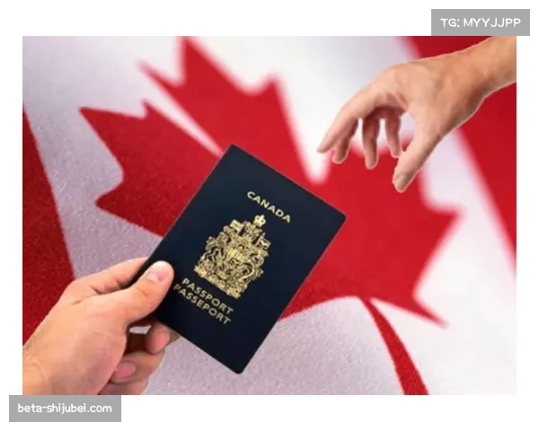 西德尼·克罗斯比经验与精神领袖作用 助加拿大冲金